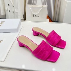 Christian Dior Slippers